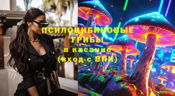 PSILOCYBIN Нязепетровск