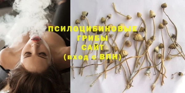 круглые Аркадак