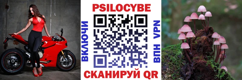 Псилоцибиновые грибы Psilocybe Баймак